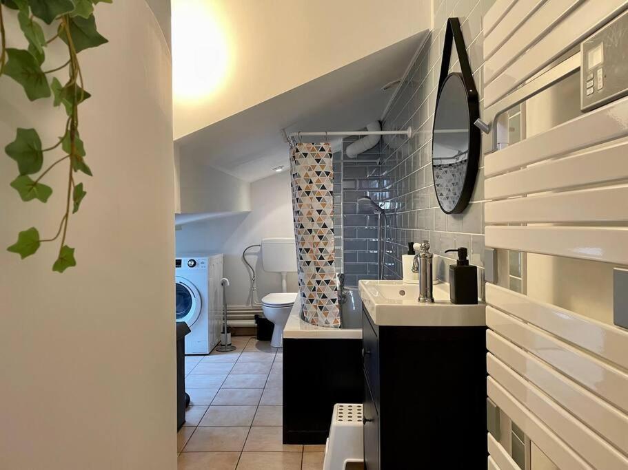 Belle Isle - Grand Appart - 6 Places - T3 - 72M2 Metz Extérieur photo